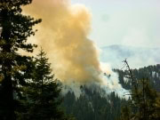 national-parks-sequoia-15