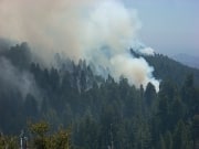 national-parks-sequoia-20