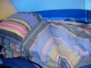 national-parks-sequoia-9