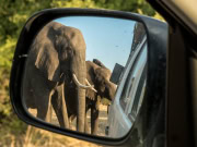 Unterwegs im Chobe National Park, Botswana