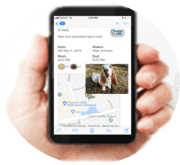 digital text updates about your dogs walk