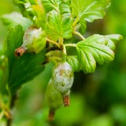 лучшая защита от болезней профилактика