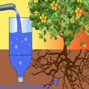 прикорневой полив