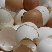 яичная скорлупа как удобрение дя растений