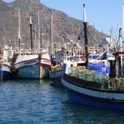 Fishing boats in Hout Bay