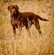 streetmasters (11 of 46).jpg