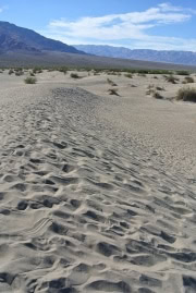 DEATH VALLEY NOV 2012-11.jpg