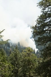 national-parks-sequoia-16