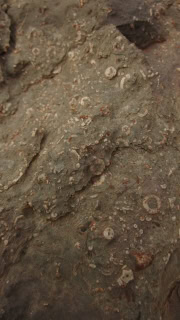 streetmasters (33 of 46).jpg