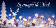 Des décorations de noël sur un fond bleu