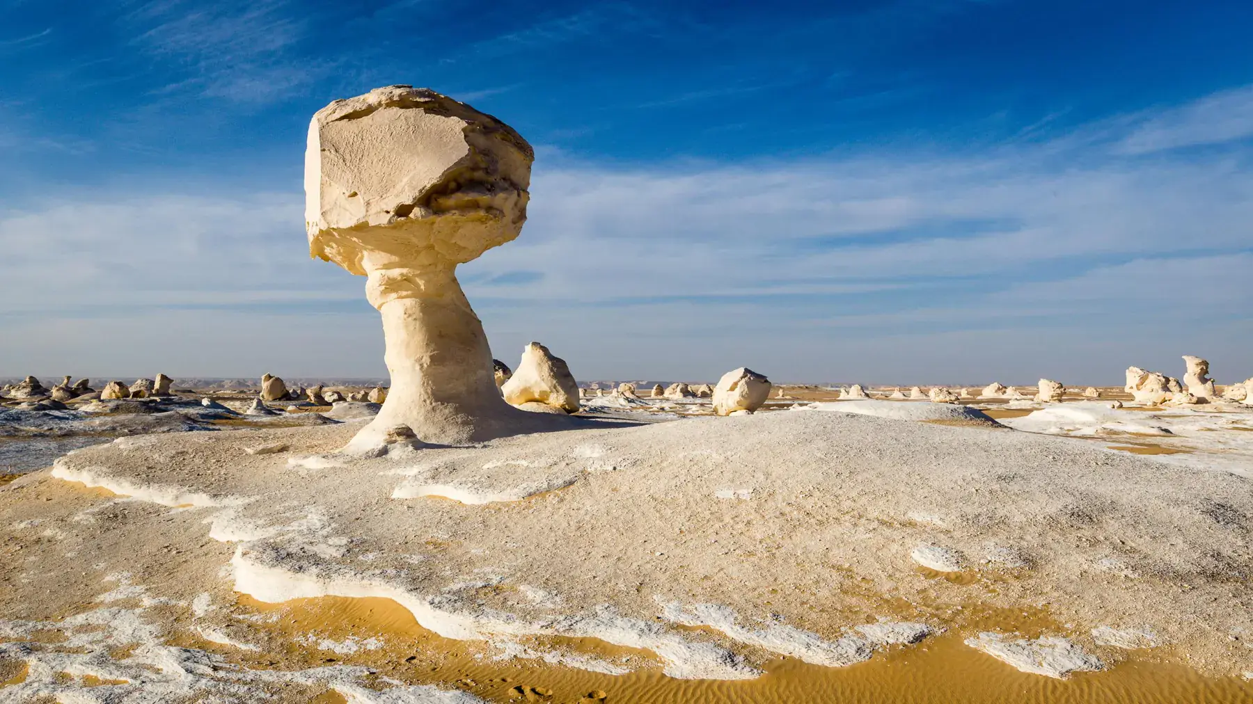 Siwa Oasis and White Desert Tour from Cairo - White Desert mushroom rock