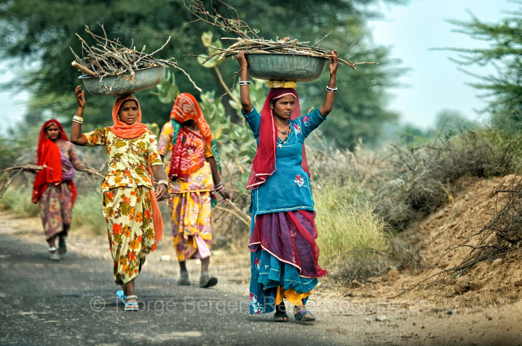 Women collecting fire wood in Rajasthan