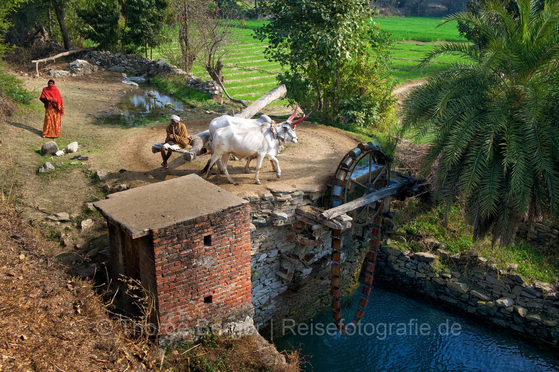 India-2014-1096