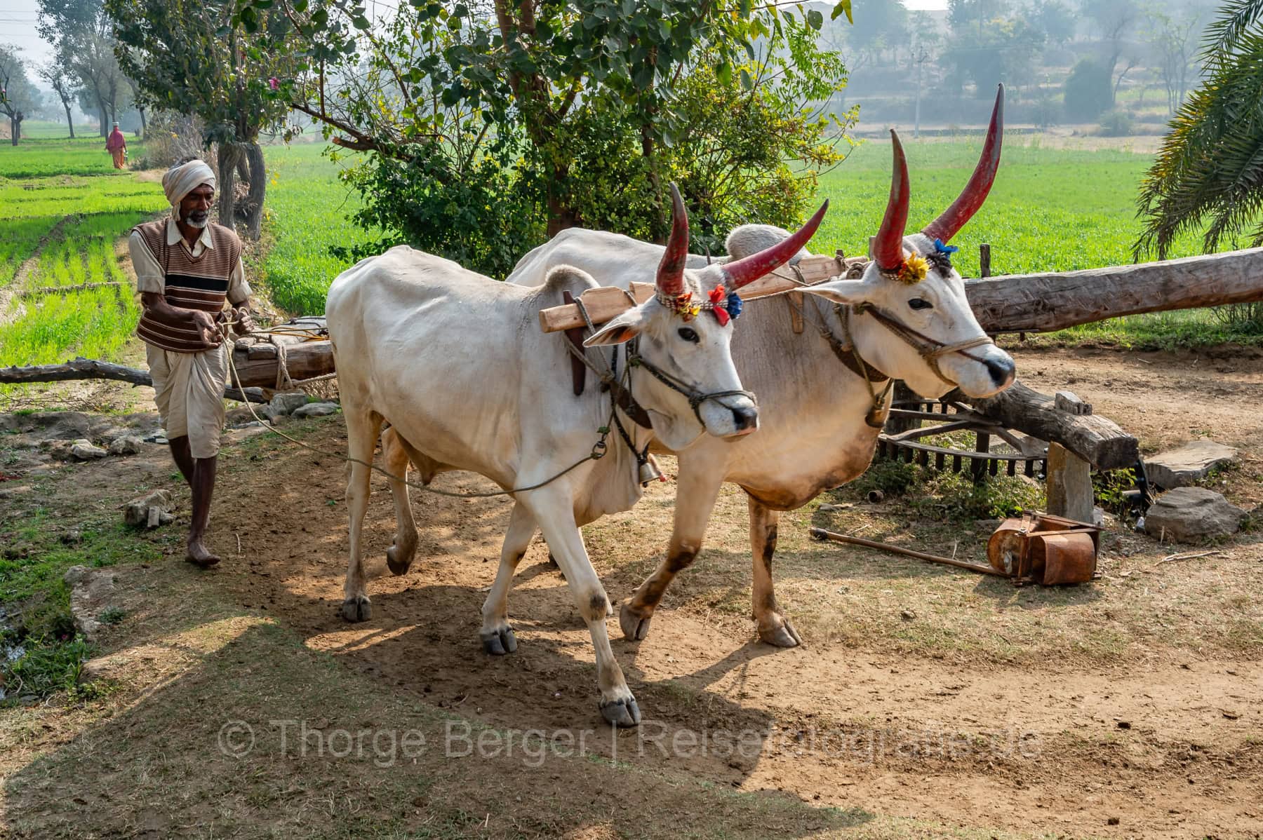 India-2014-1101