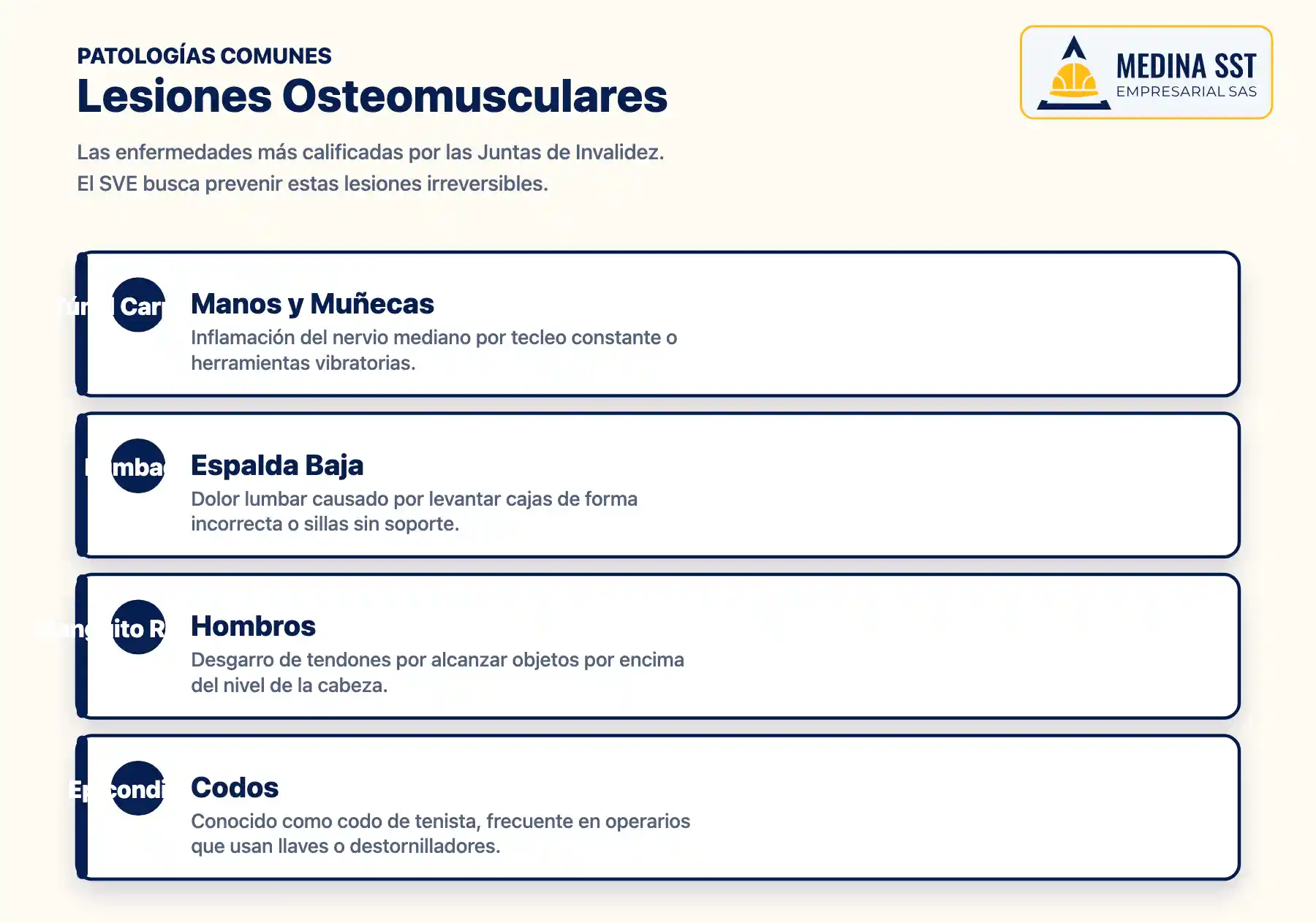 Lesiones Osteomusculares Comunes Principales enfermedades laborales de origen biomecánico y las áreas del cuerpo afectadas