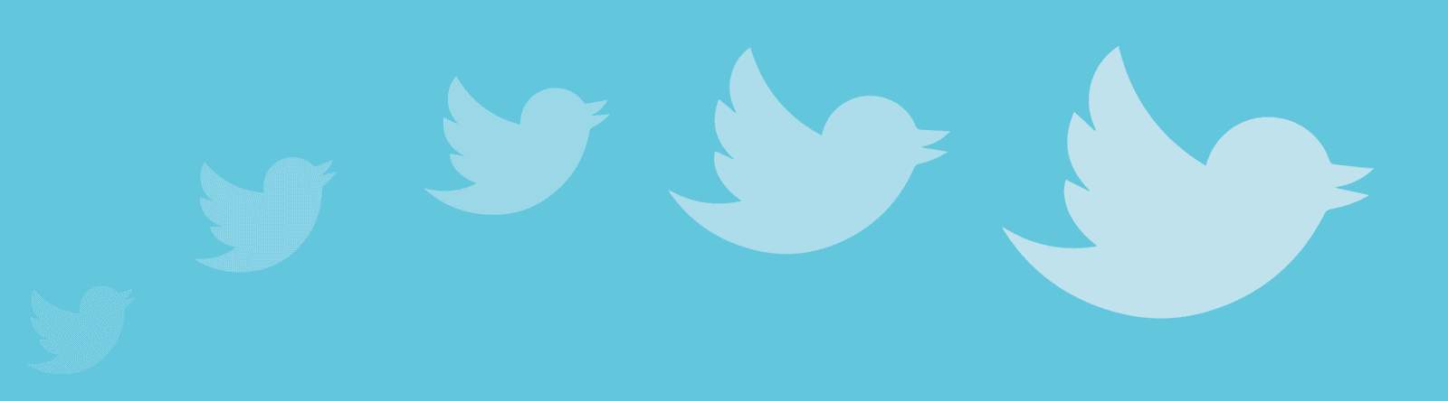 twitter amazing women on twitter