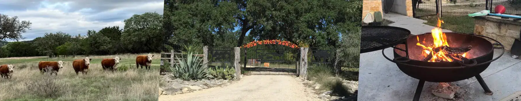 Run N Hide Ranch