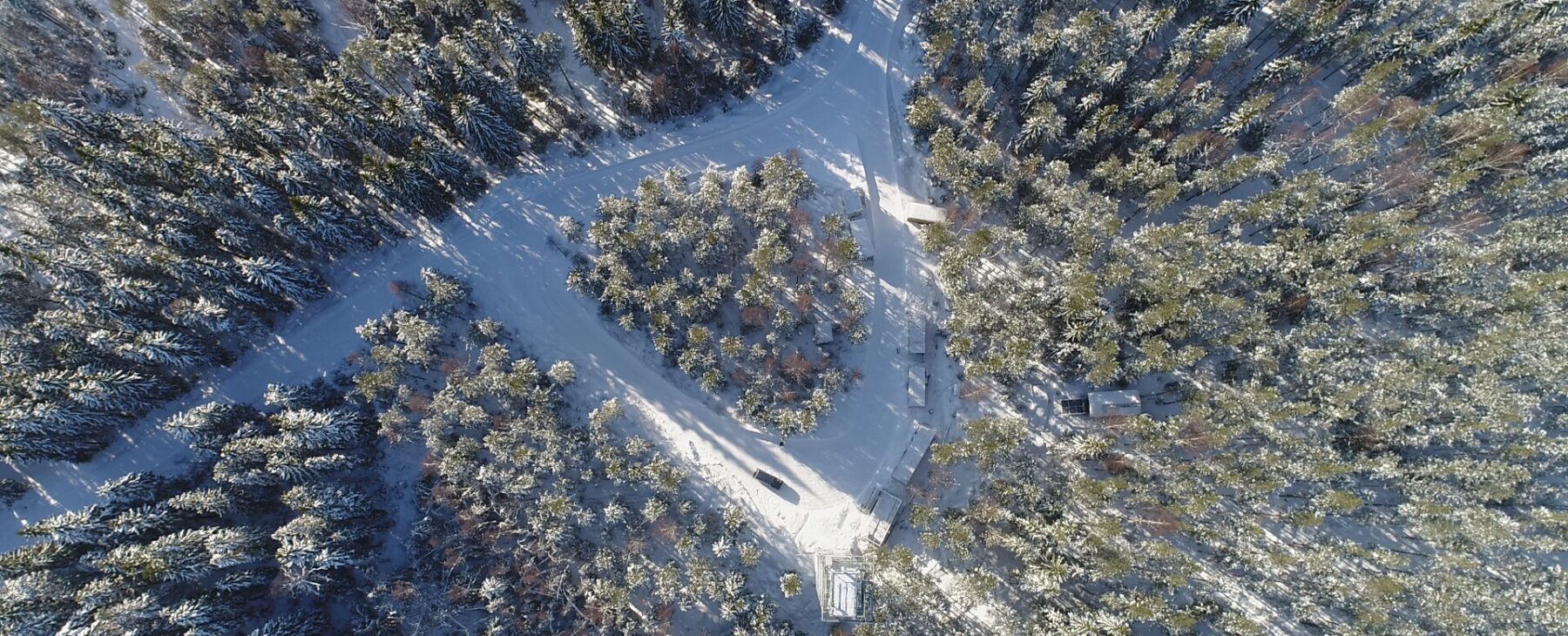 Hyytiälä research station captured from the bird view, triangle shaped forest plot in the middle.