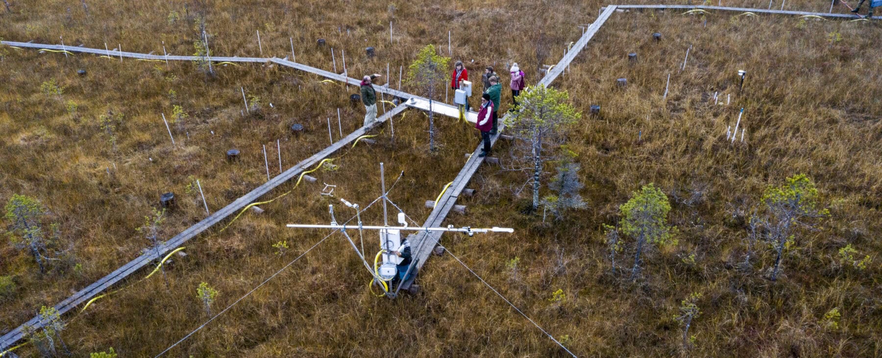 Ecoclimate platform on wetlands, pictured from drone.