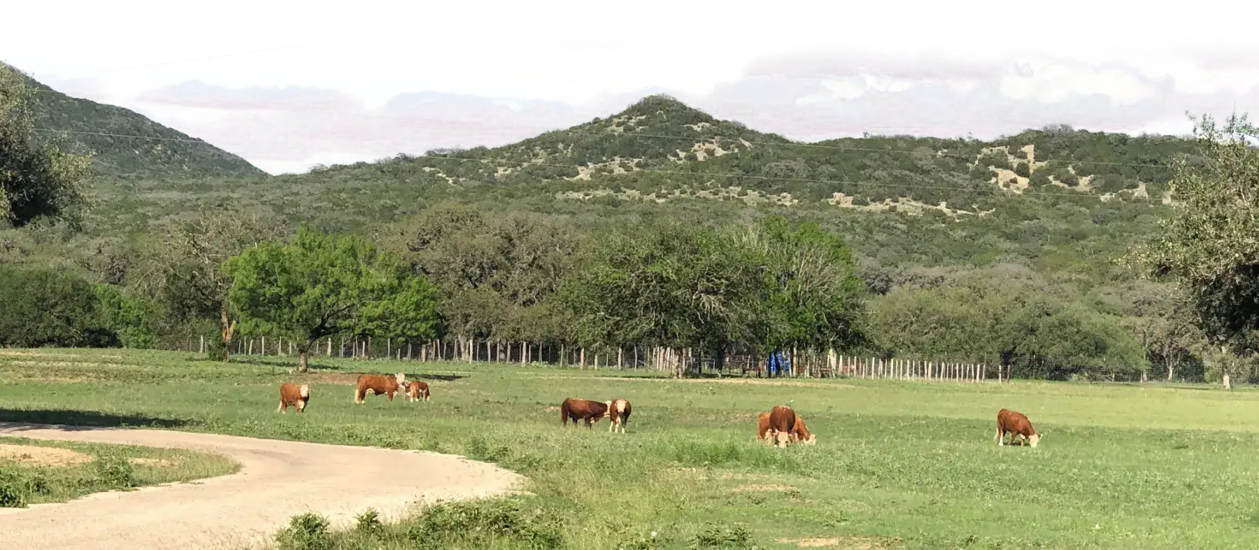 Run N Hide Ranch