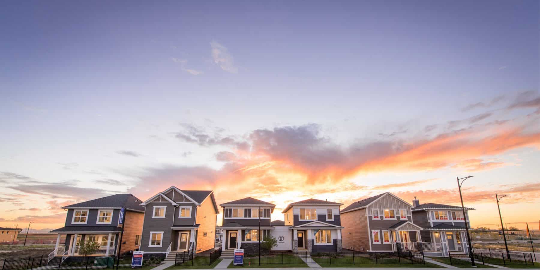 chelsea-community-1800×900