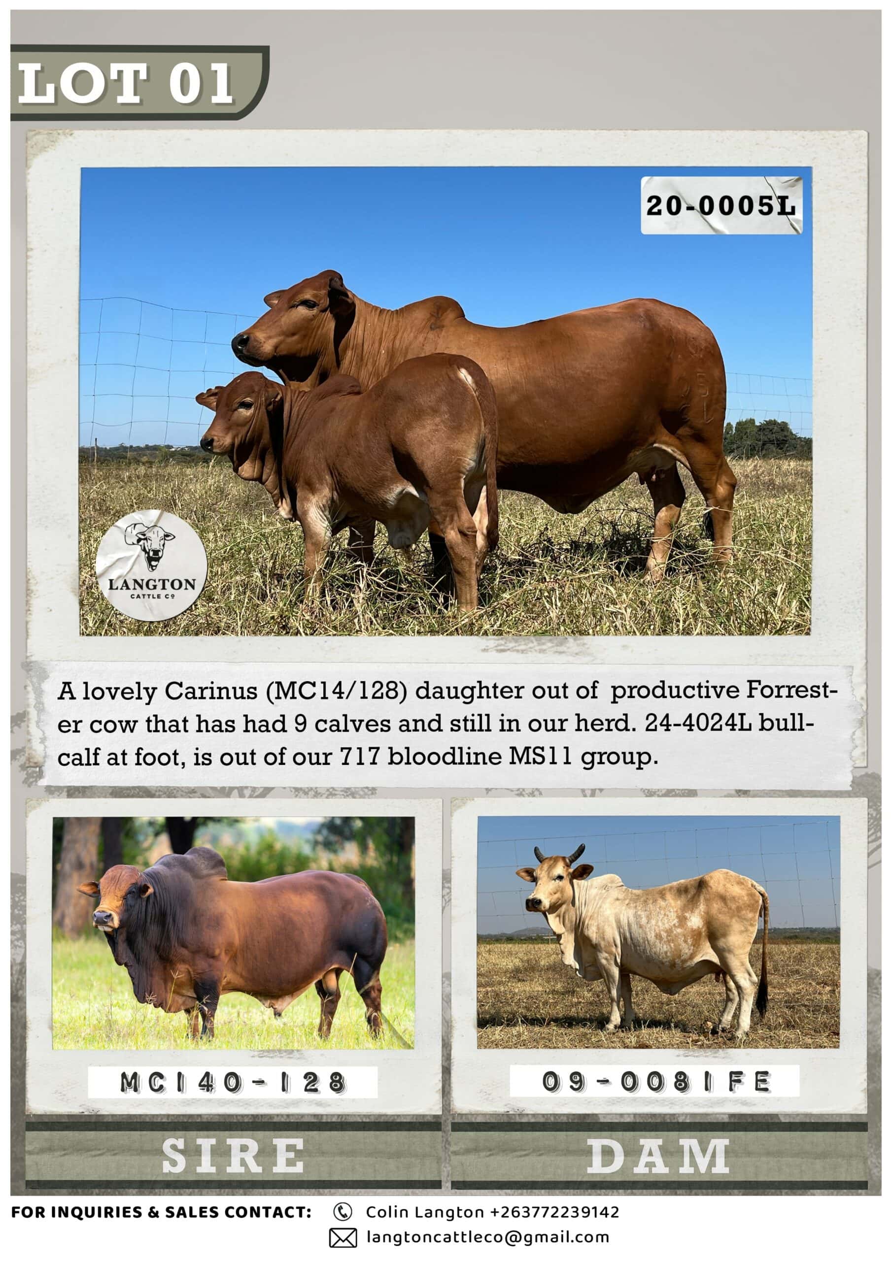 LOT 1 - 0005 catalogue 1