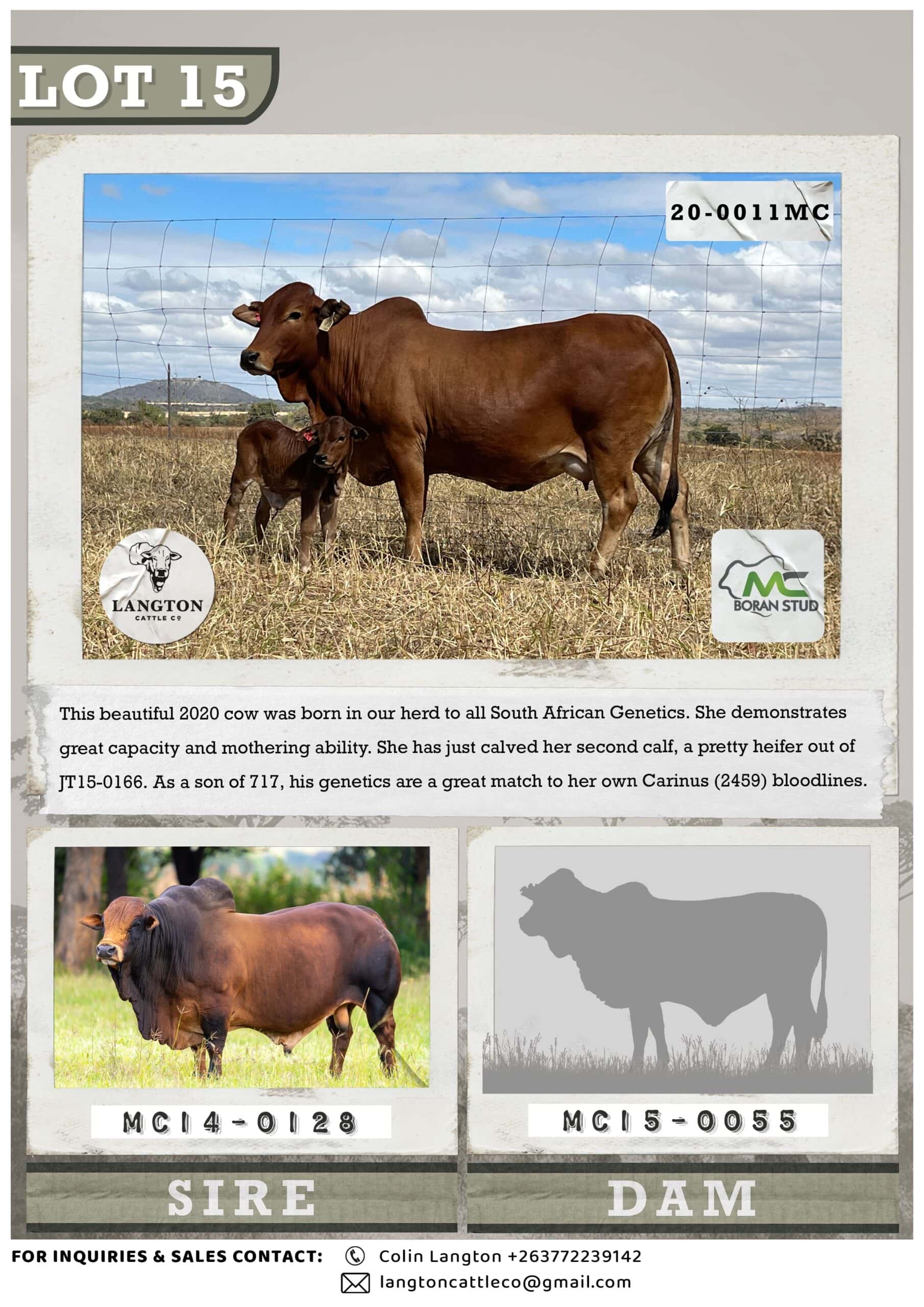 LOT 15 - 0011 catalogue 1
