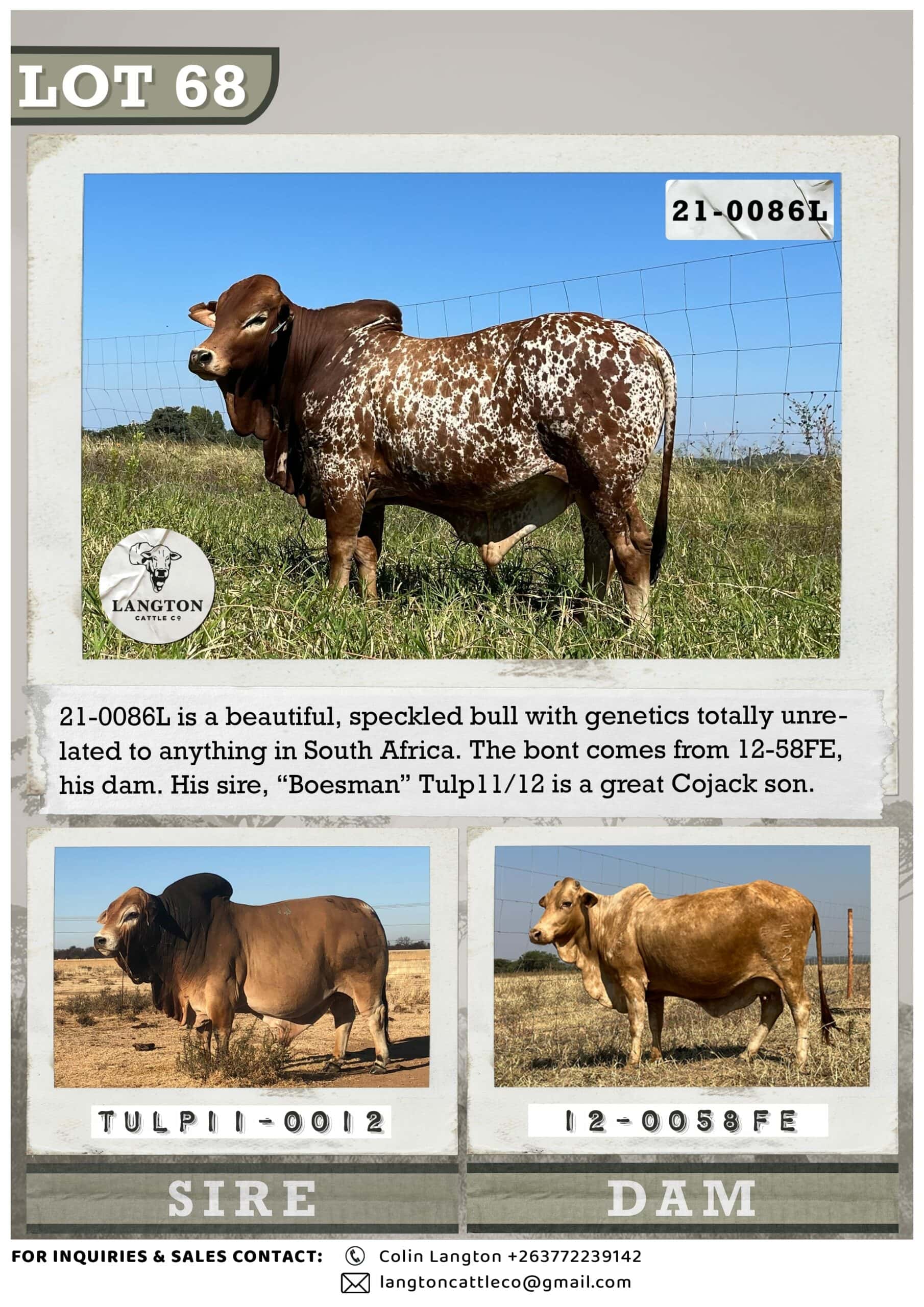 LOT 68 - 0086 catalogue 1