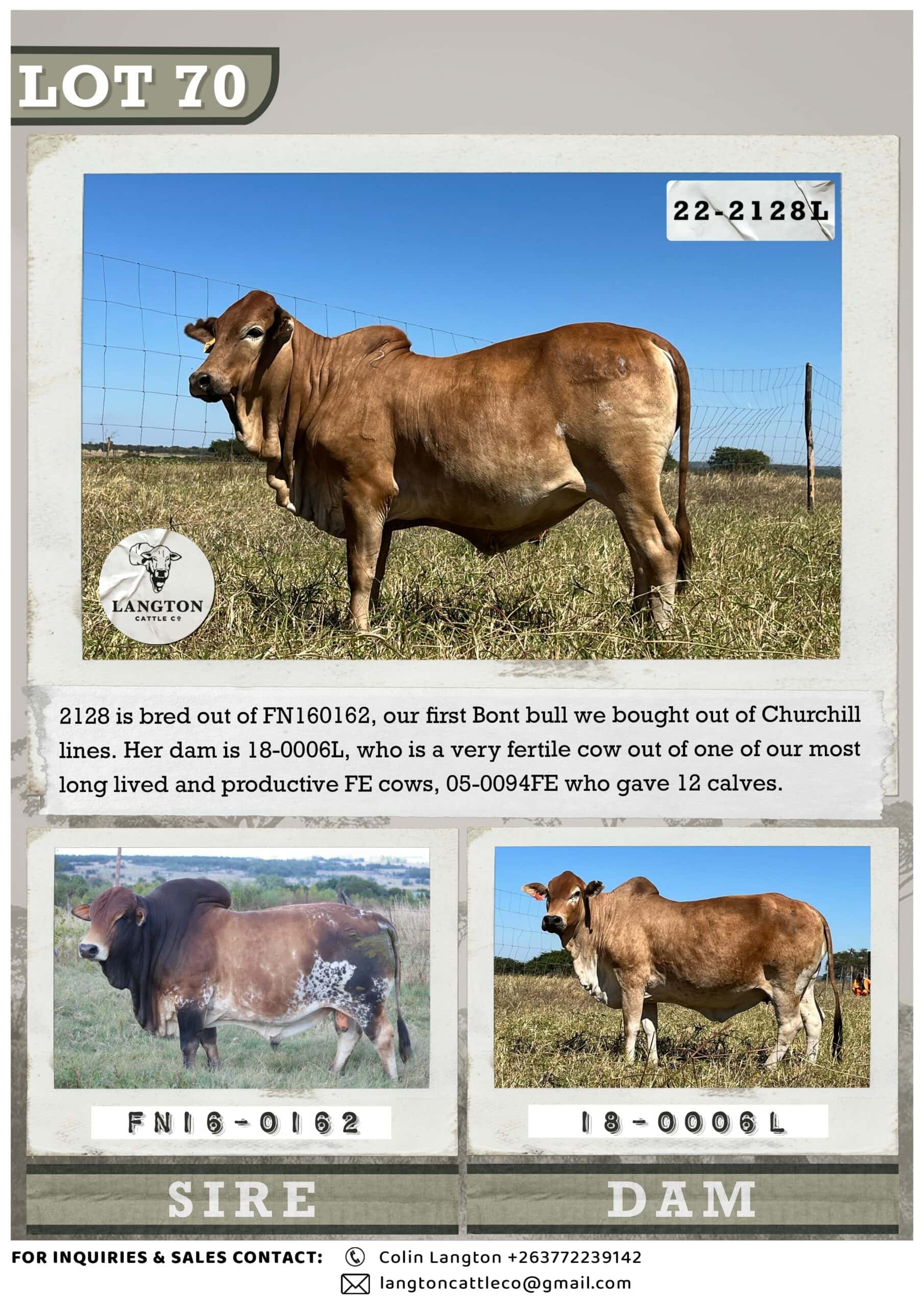 LOT 70 - 2128 catalogue 1