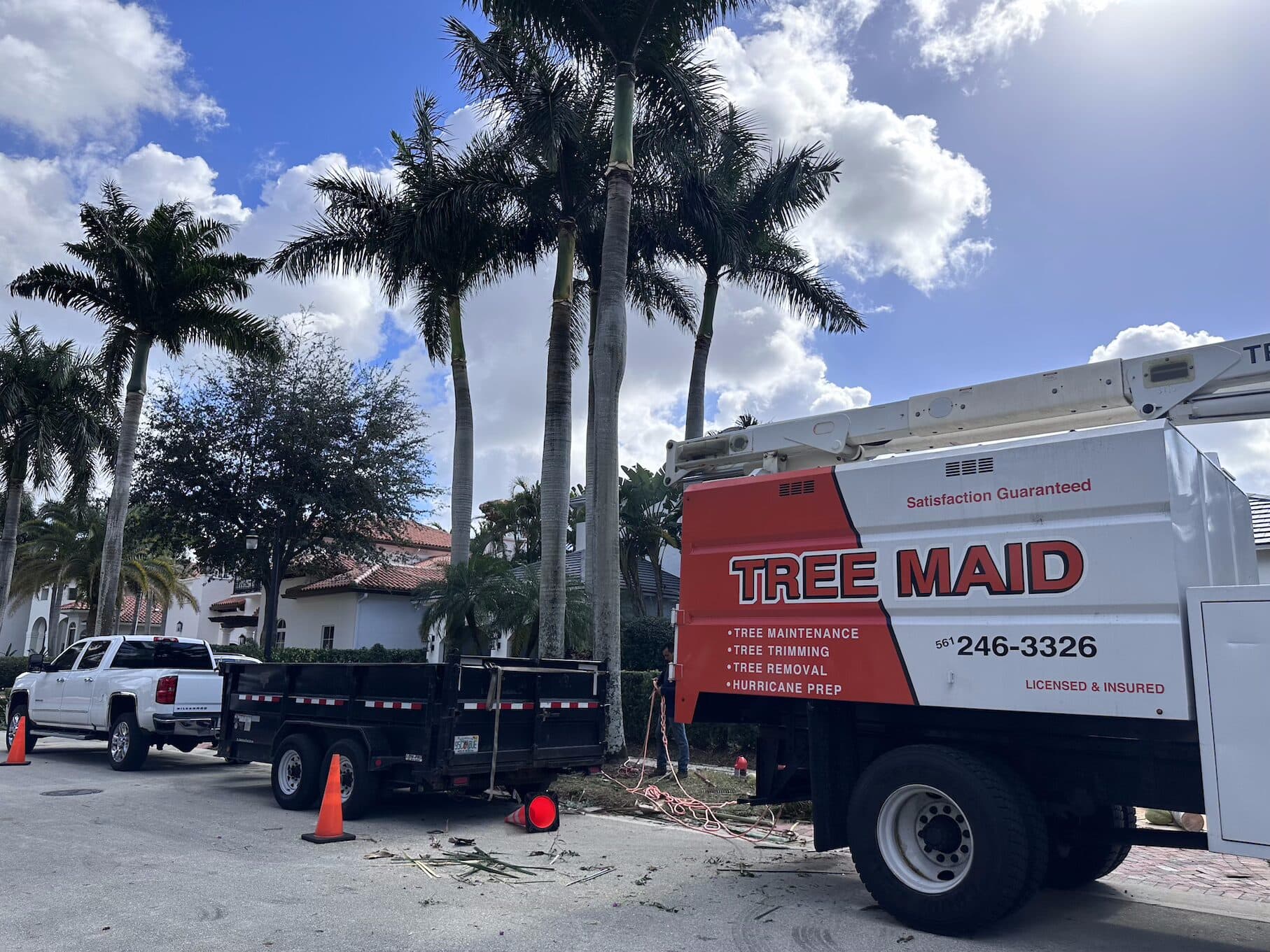 Tree Removal Loxahatchee | Professional Service by Tree Maid