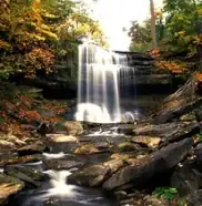 dcreek1