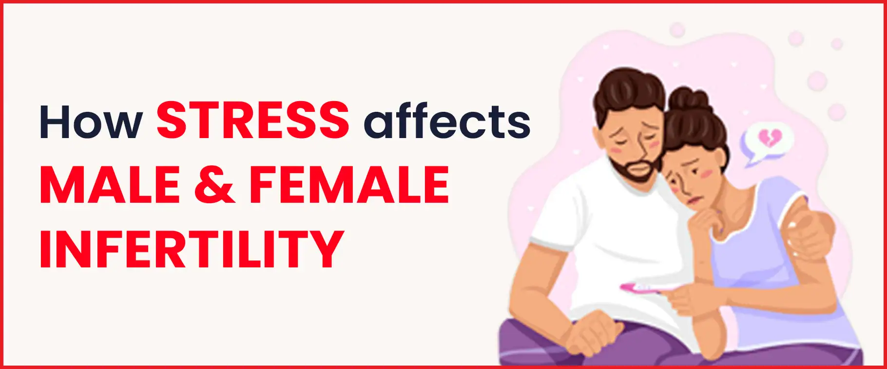 how Stress affects male and female infertility