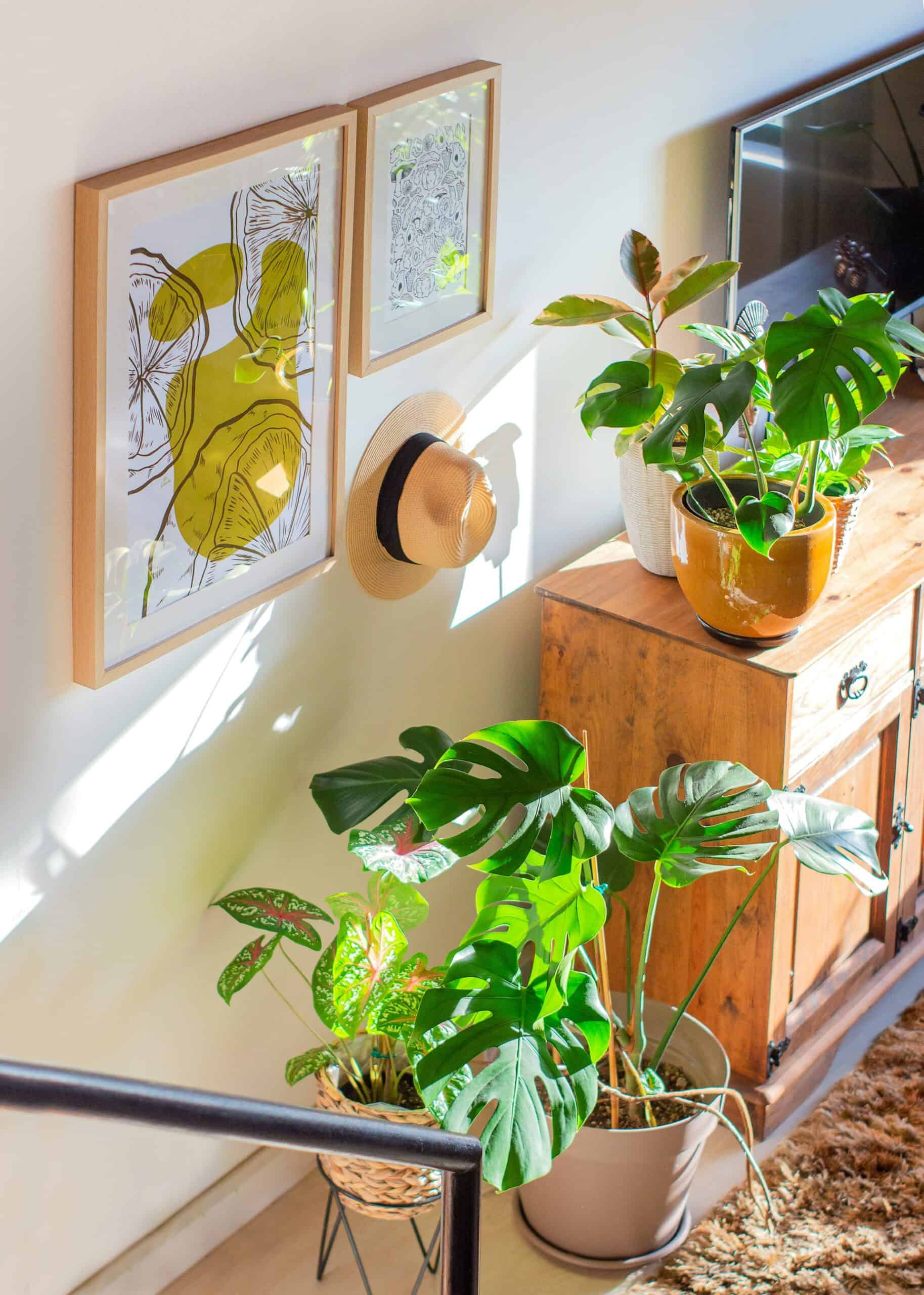 Low-Cost Ways to Refresh Your Home