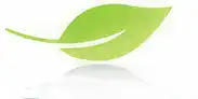 Leaf — Eco Tech Pest Control Chicago