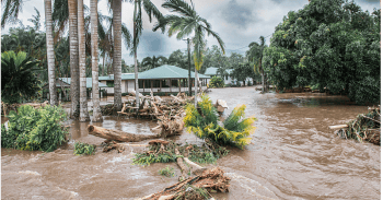 Flooded area with fallen trees and damaged infrastructure in Samoa.