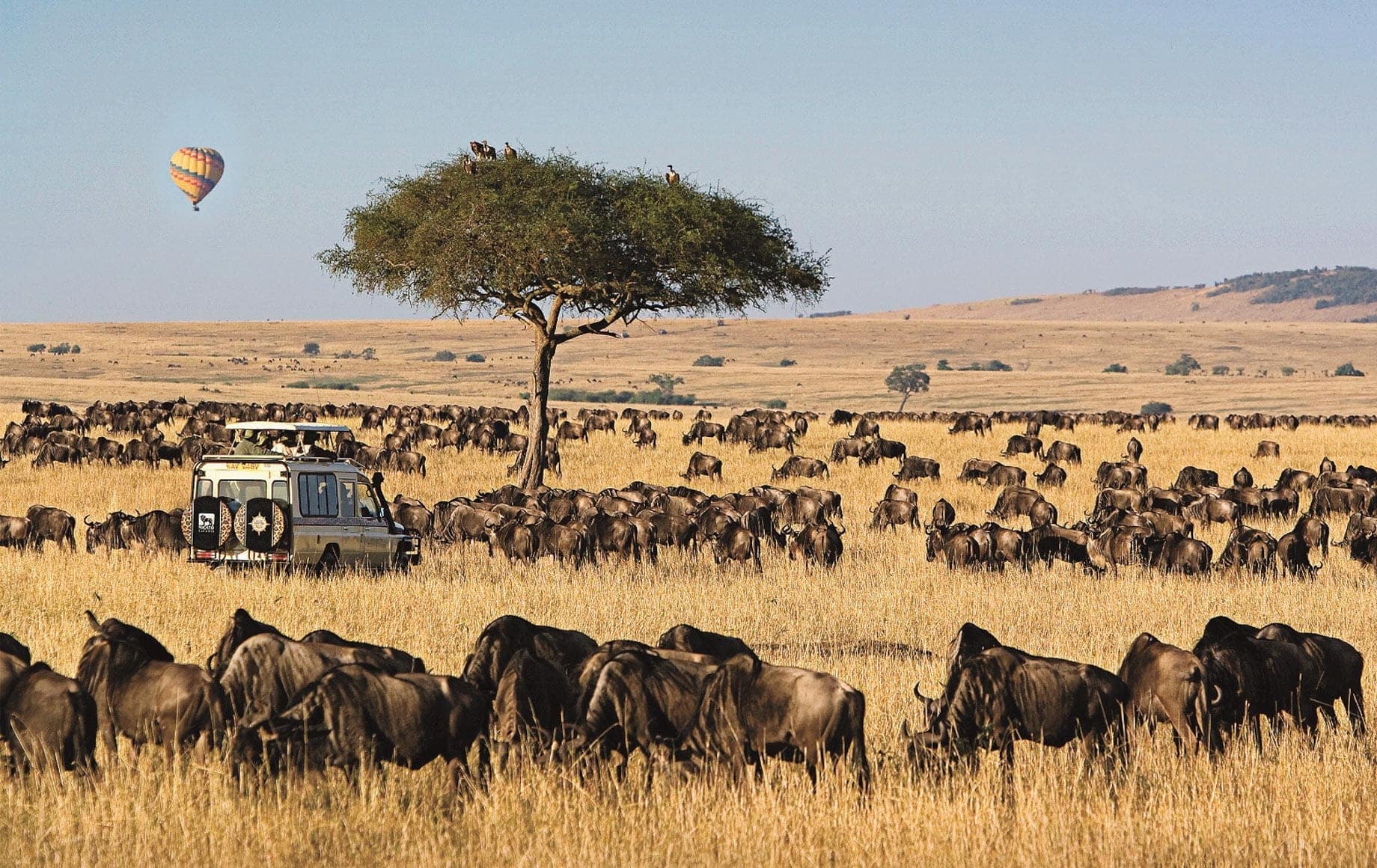 11 Days Kenya, Tanzania and Uganda Combined Safari