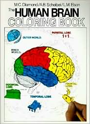 coloring book