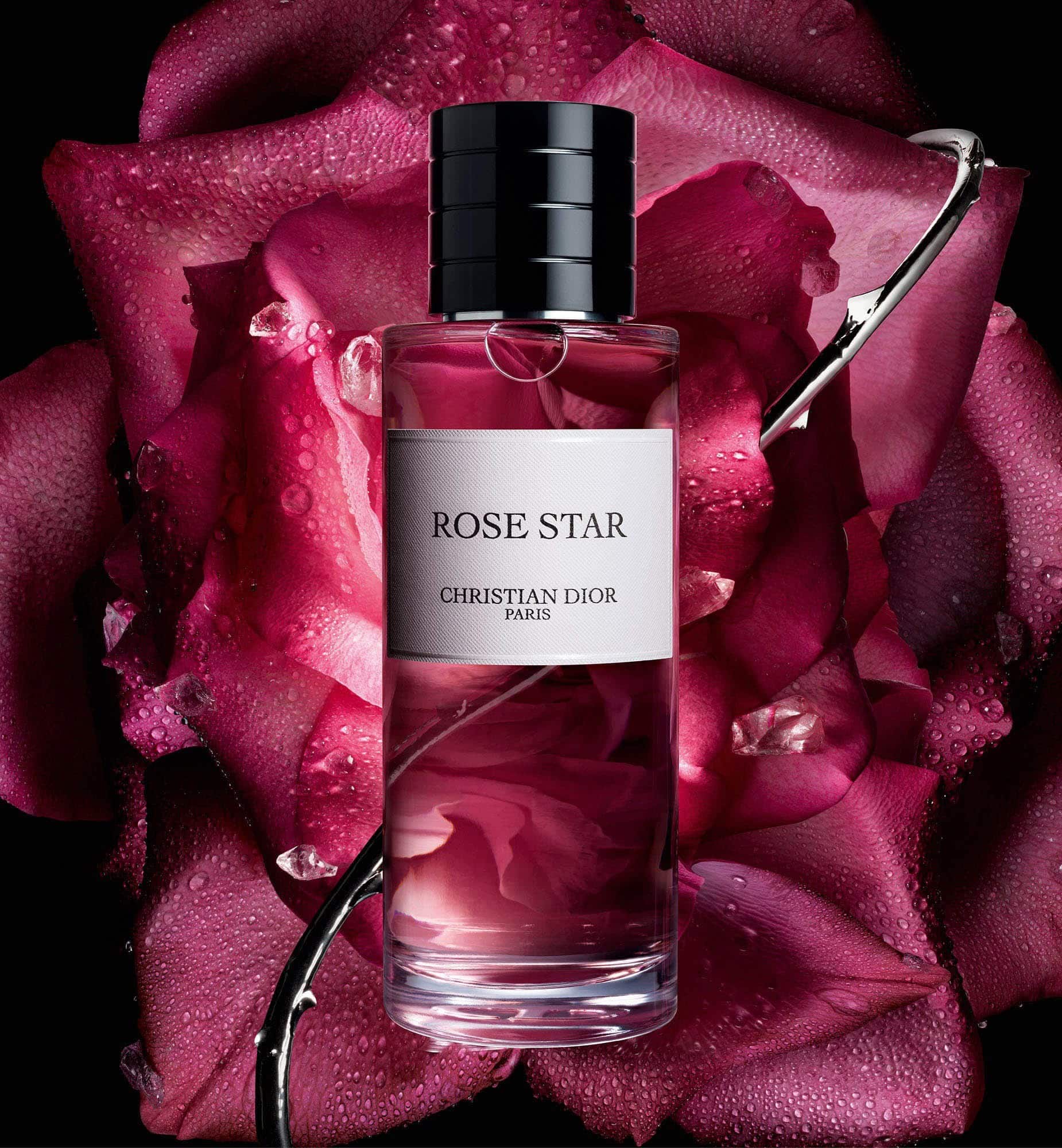 rose star dior for women and men 2025 1