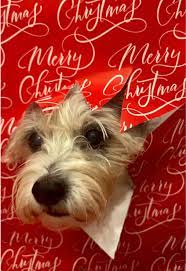 Breaking through Paper Holiday Themed