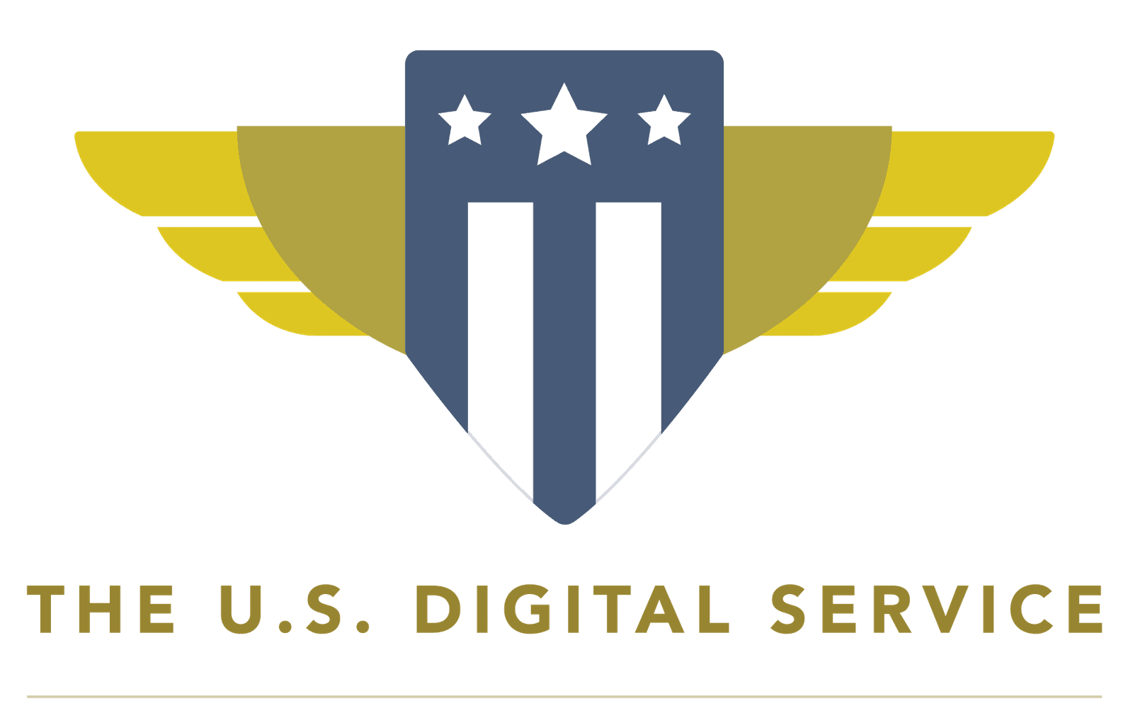 US Digital Service