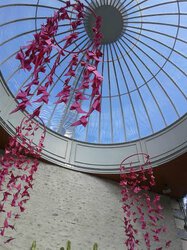 Octobre Rose : les enfants de Tarbes mobilisés contre le cancer