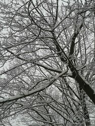 Météo Tarbes : pas de neige (a priori) ce week end à Tarbes