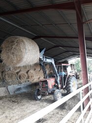 Ossun. les gendarmes verbalisent un agriculteur puis l'aident à nourrir ses vaches