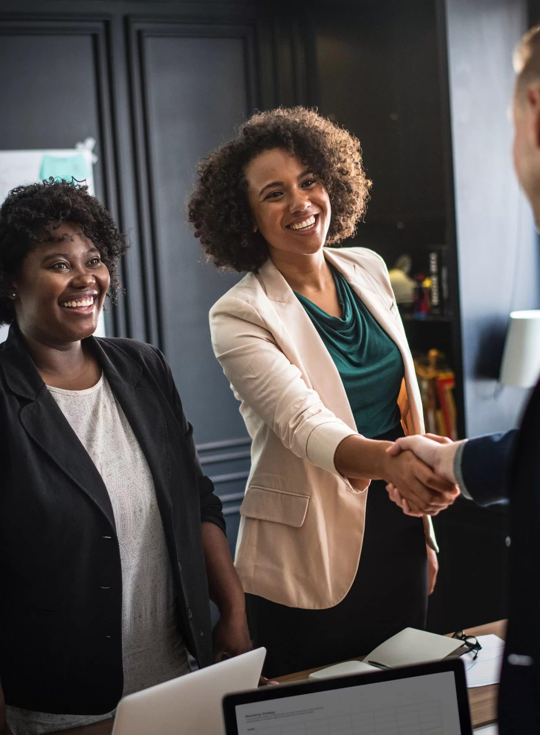 Smiling professionals shaking hands