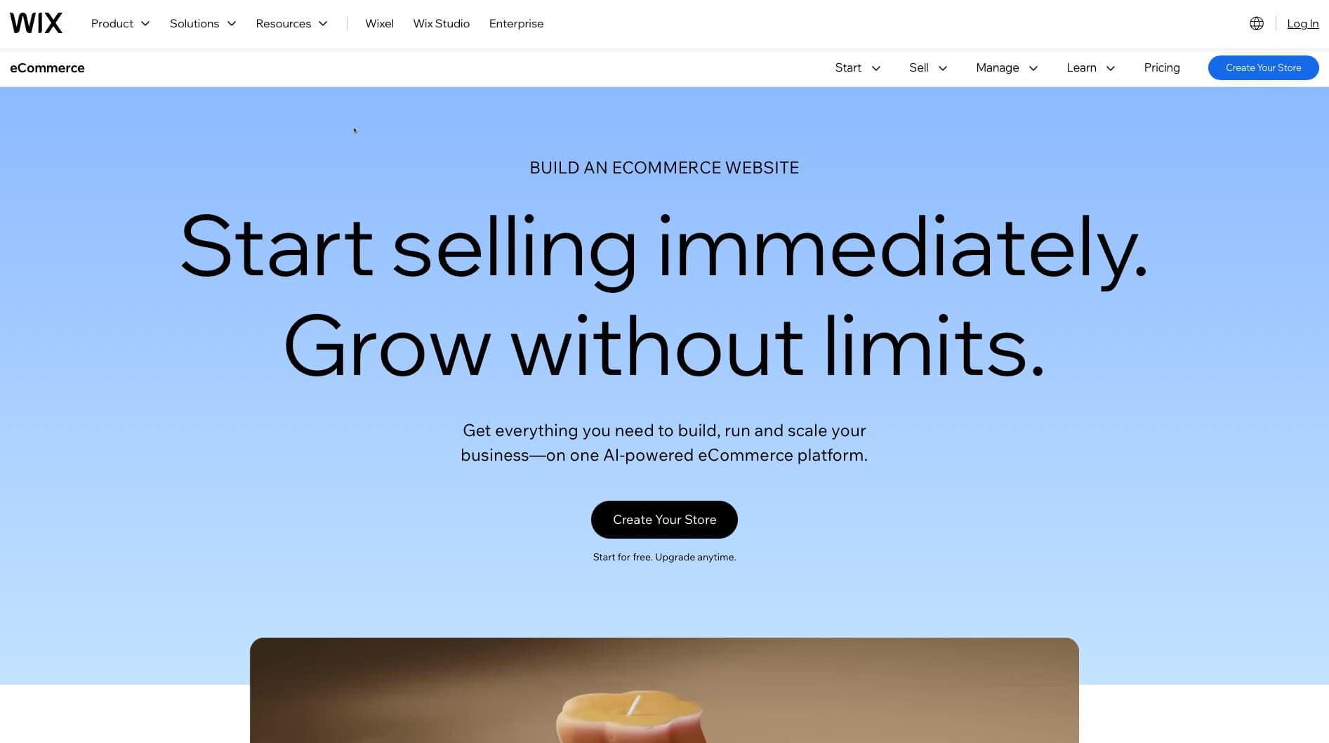 Wix ecommerce