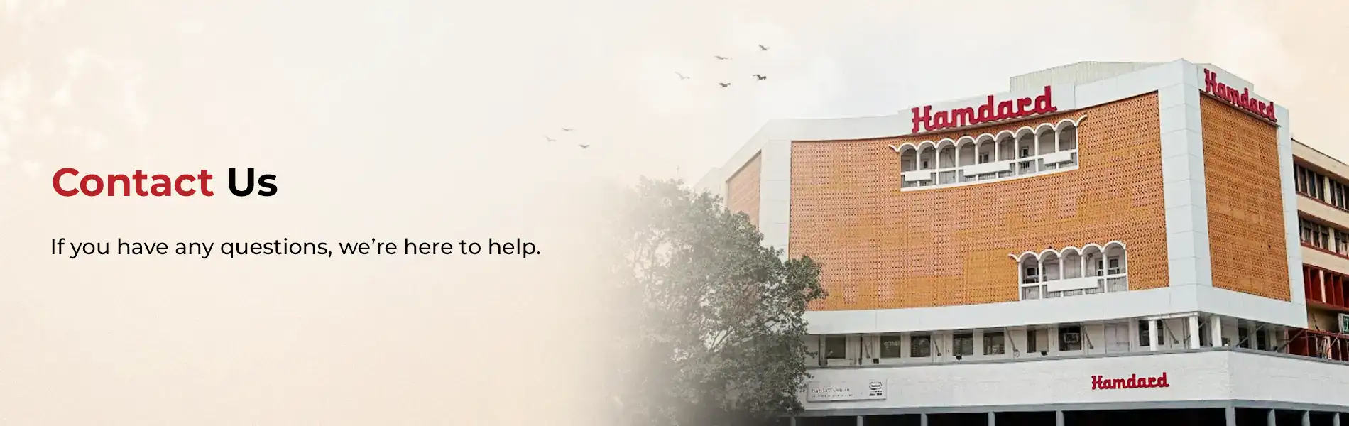 contact us banner