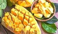 berita-pilihan-foto