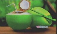 berita-pilihan-foto