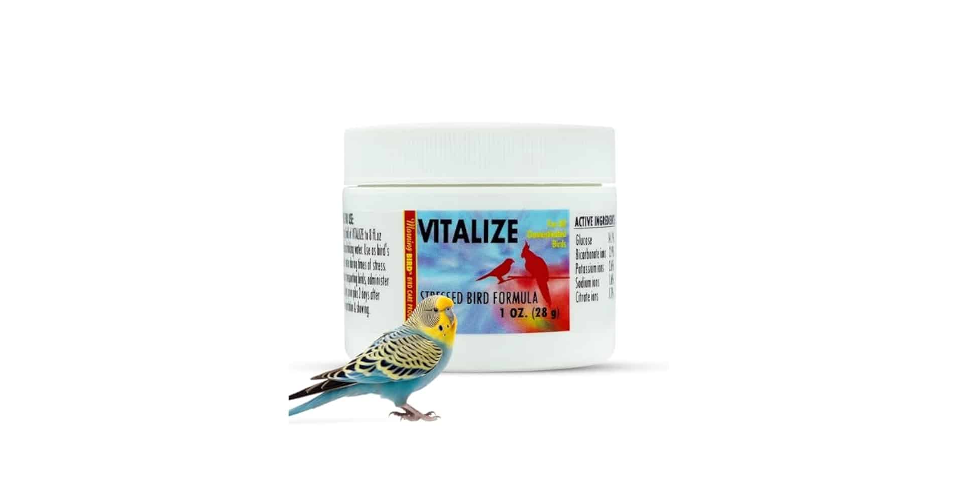 How to Treat Bird Dehydration