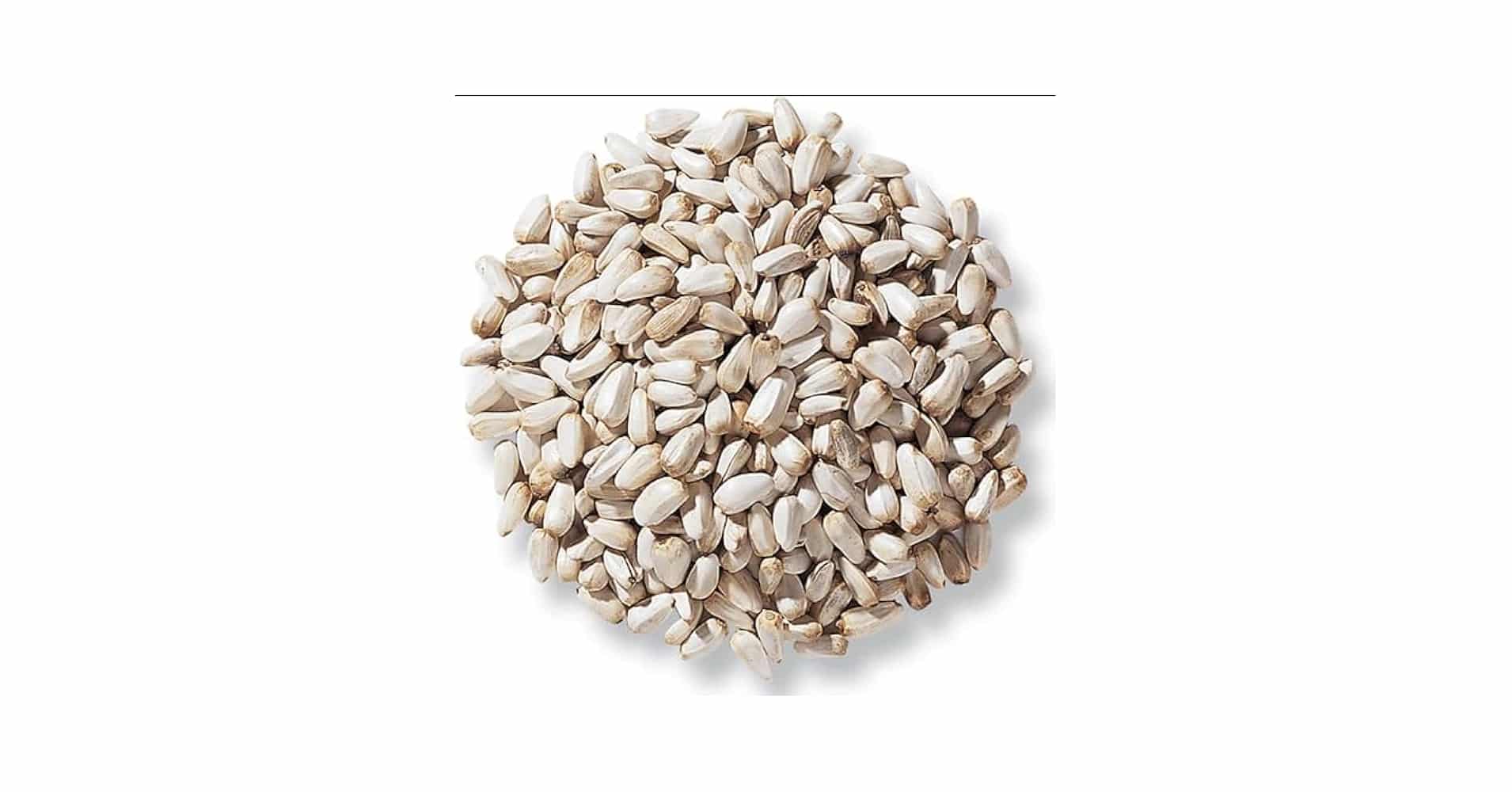 Where to Buy Safflower Bird Seed